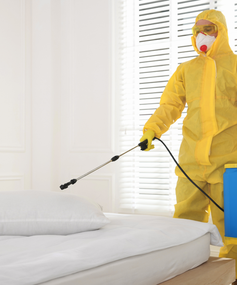 Professional Pest Control Team in Davoren Park